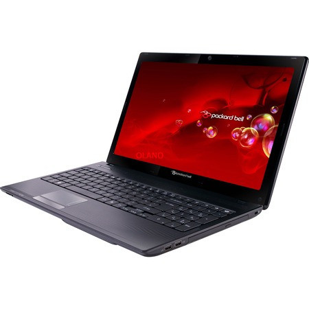 Notebook Packard Bell EasyNote TK85 384G50Mnkk NX.BZNEG.002 schwarz